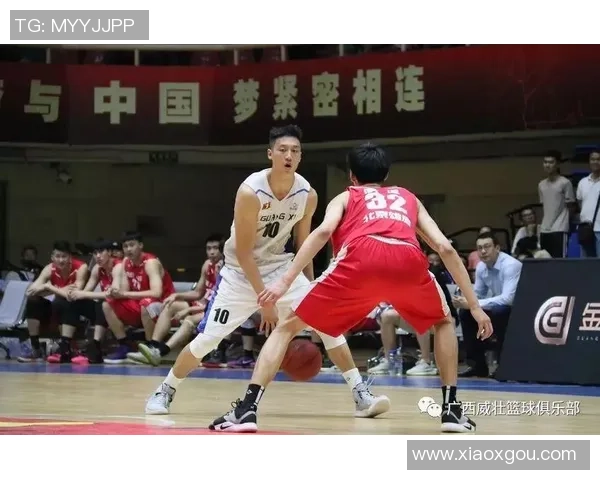 广西威壮与北京雄鹿的激烈对决揭示篮球新格局的精彩瞬间
