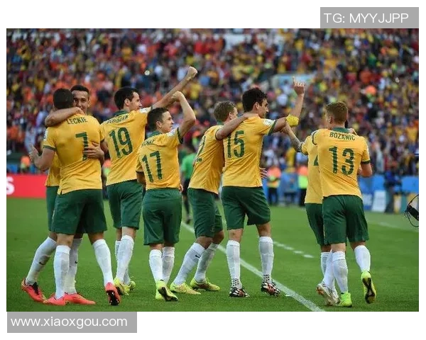 阿劳与塞尔维特的对决分析及比赛前瞻展望